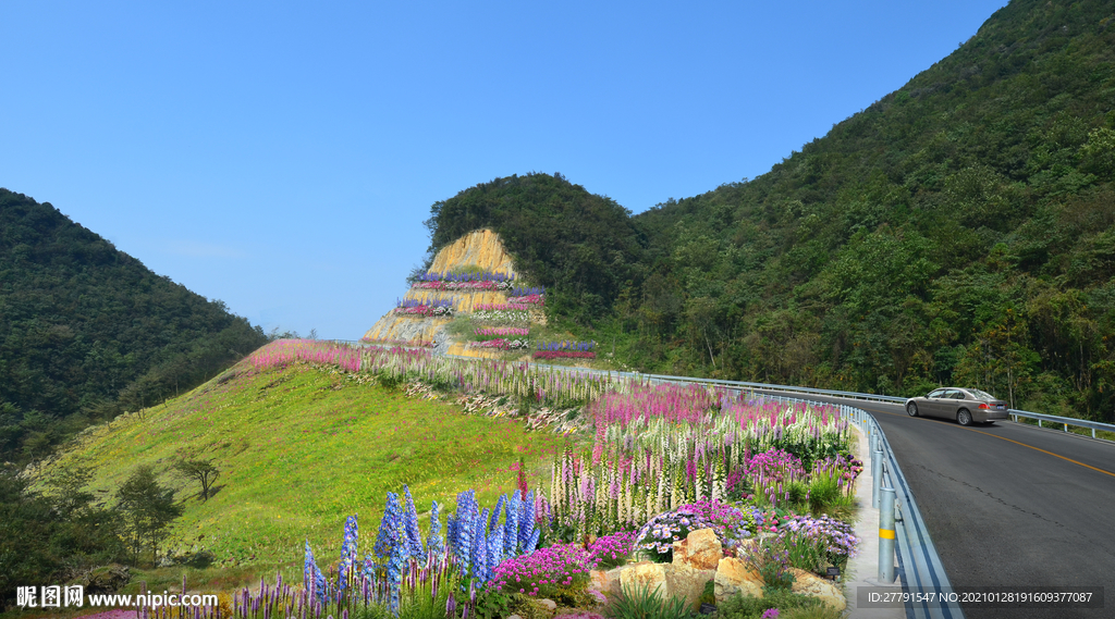 道路花境景观设计效果图