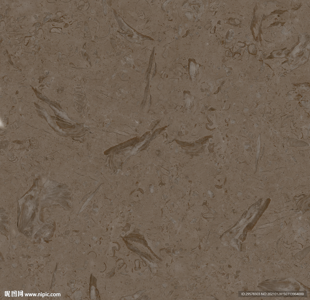 化石 质感石材纹理 300分辨