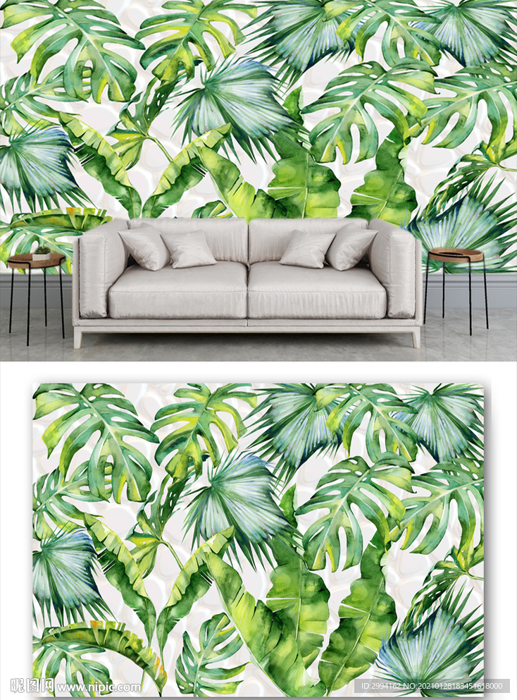 植物 热带雨林 芭蕉叶背景墙