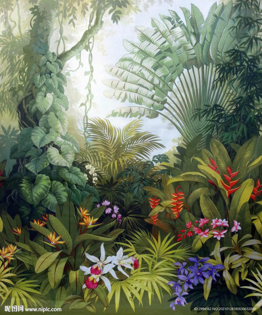热带 雨林 植物花 壁画背景墙