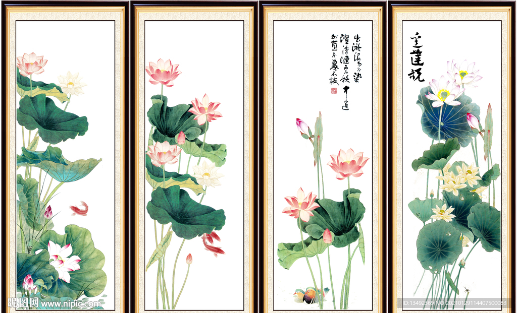荷花国画