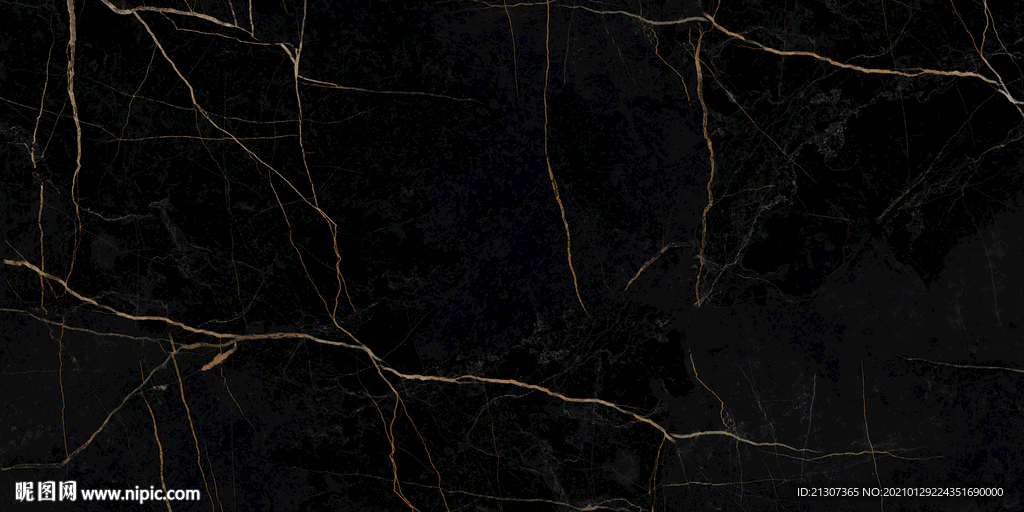 黑金花 金龙黑高清瓷砖设计