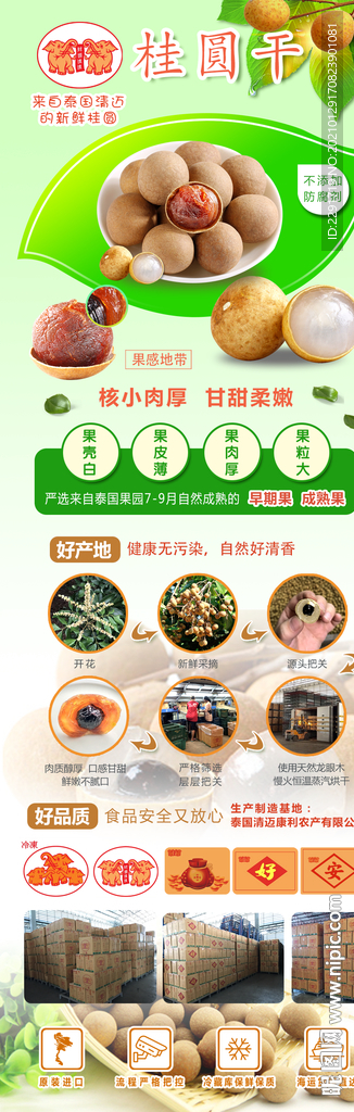 桂圆干 龙眼