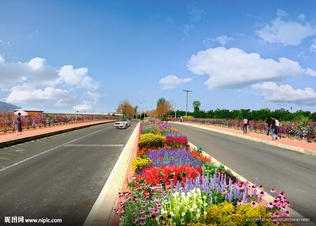 道路花境景观设计效果图