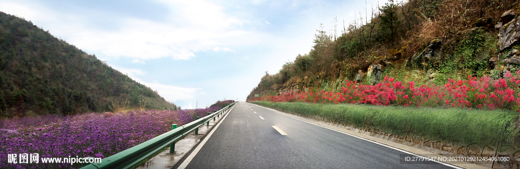 道路花境景观设计效果图