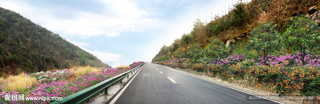 乡村花境景观设计效果图