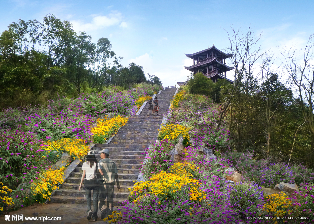 山坡花境景观设计效果图