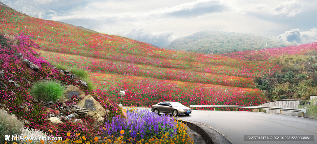 山坡花海景观效果图