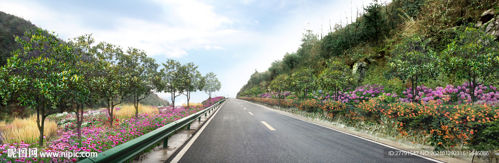 道路花境景观设计效果图