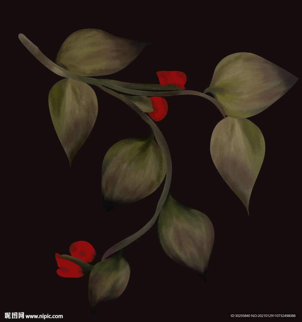 数码印花 女装印花