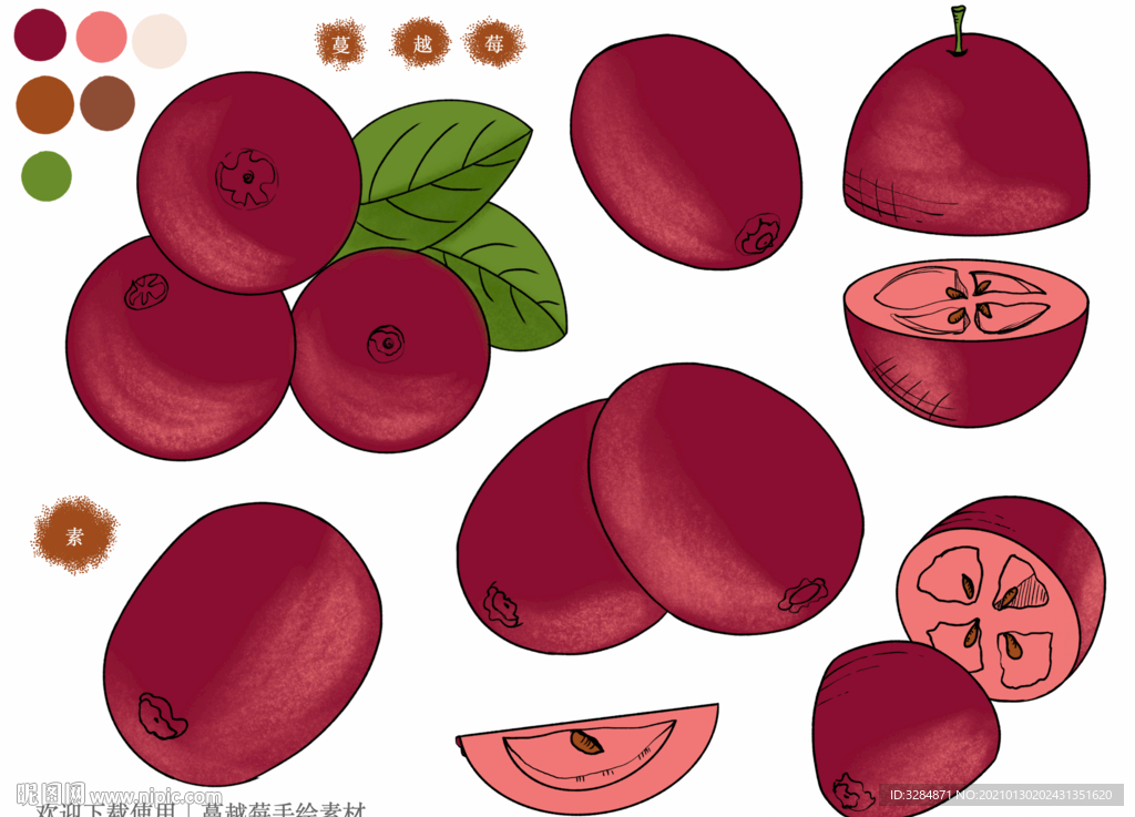 蔓越莓手绘素材