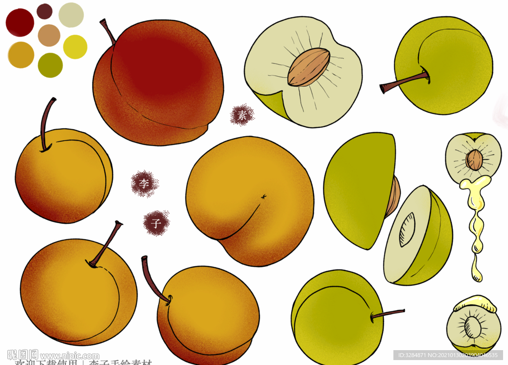 李子手绘素材