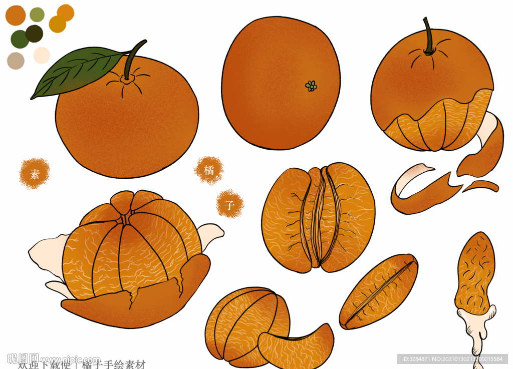 橘子手绘素材