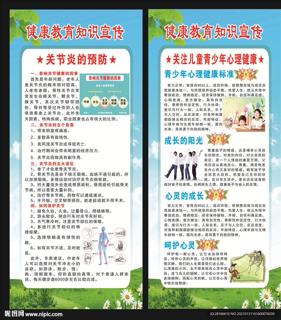 健康教育知识展架
