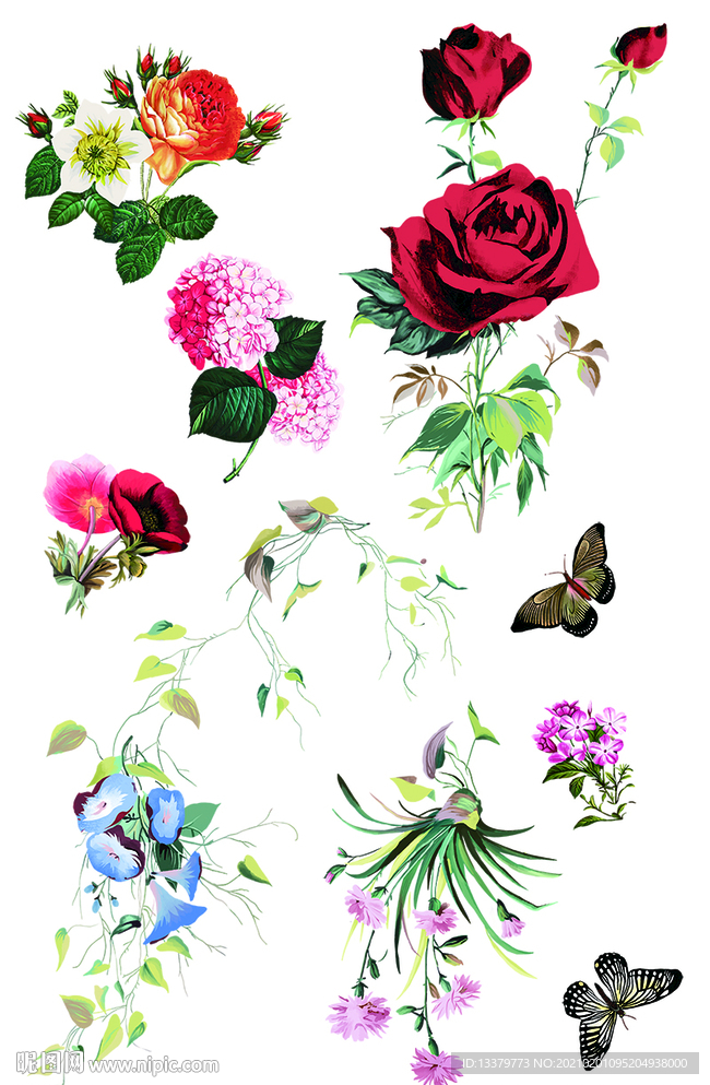 花卉手绘 玫瑰花牵牛花绣球花插