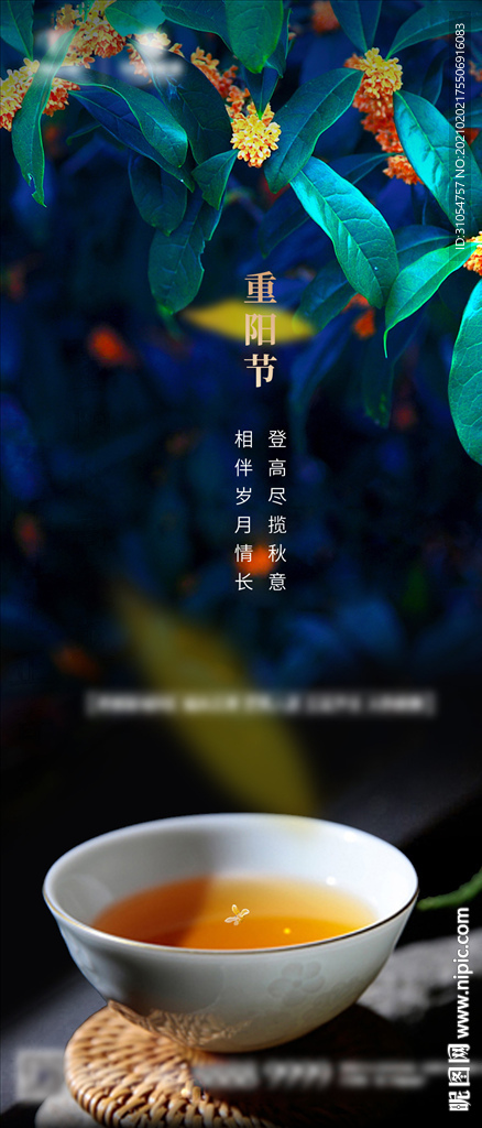 节气稿