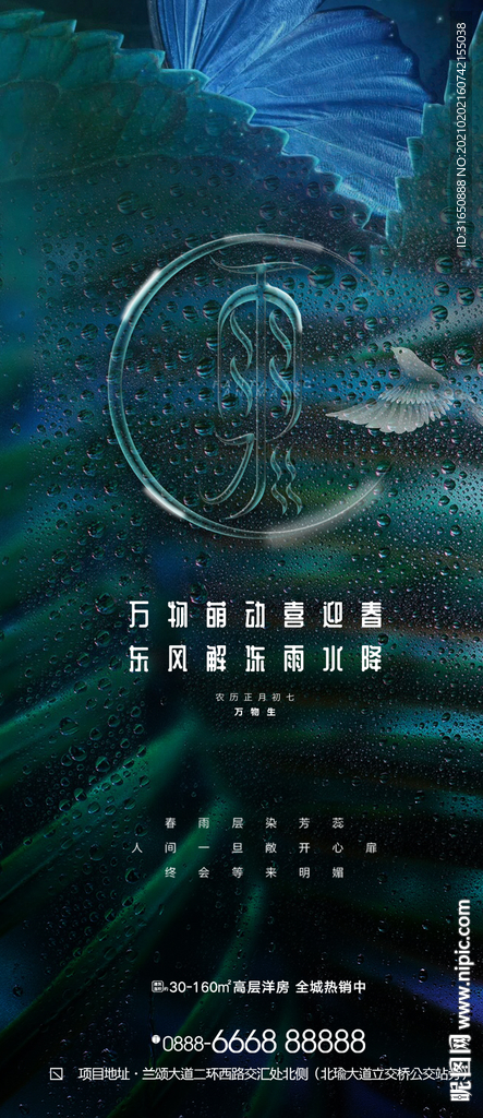 雨水