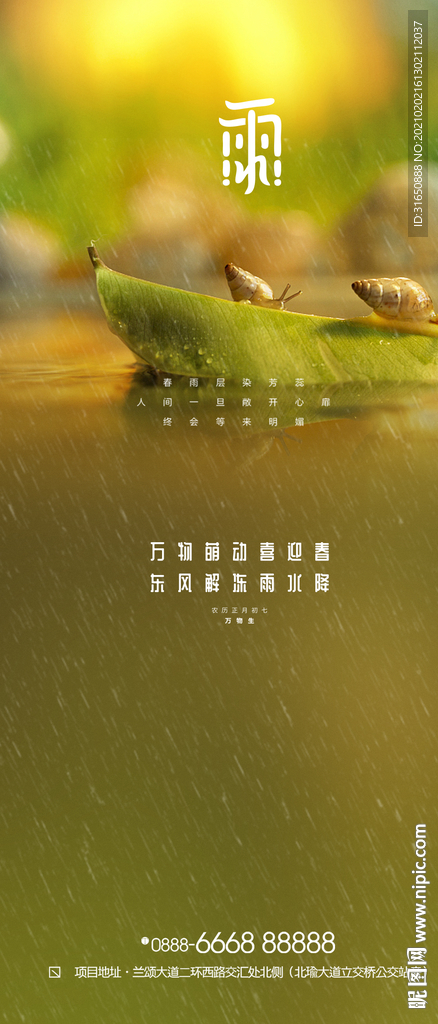 雨水