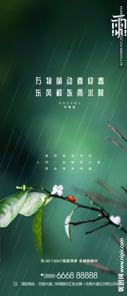 雨水