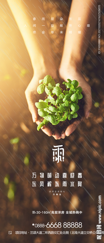雨水