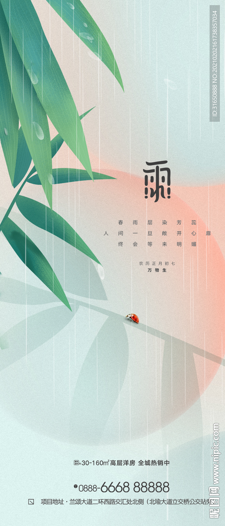 雨水