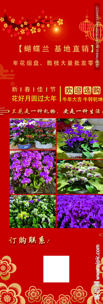 花卉展架