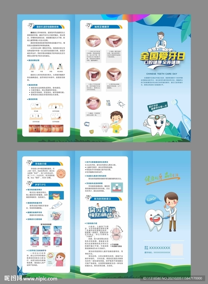 龋齿三折页