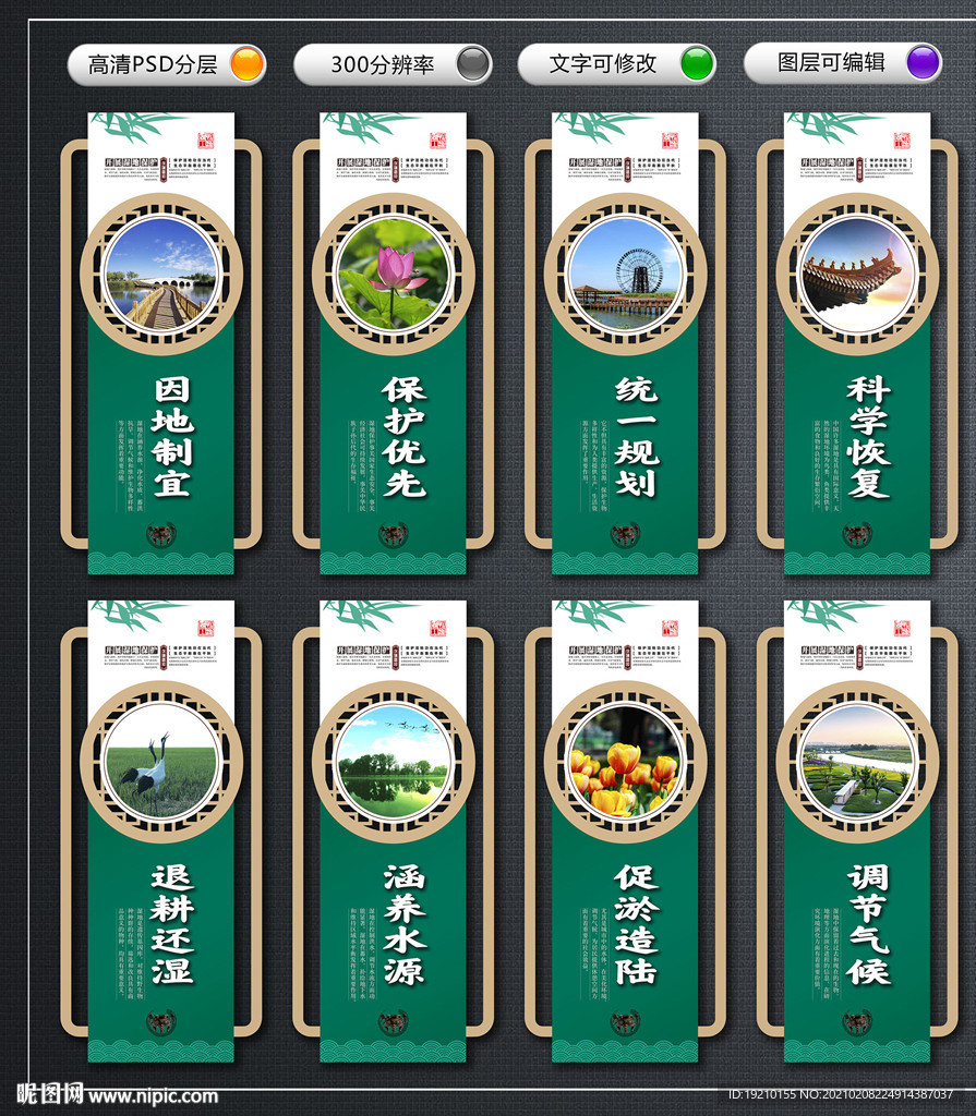 湿地保护文化墙