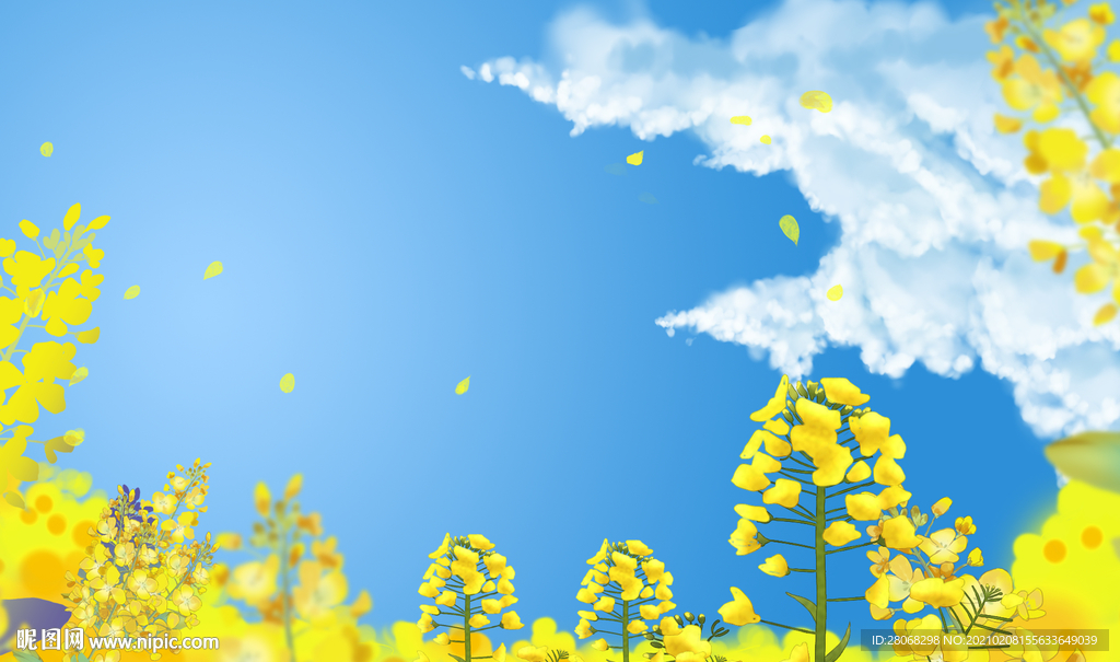 金色黄色油菜花