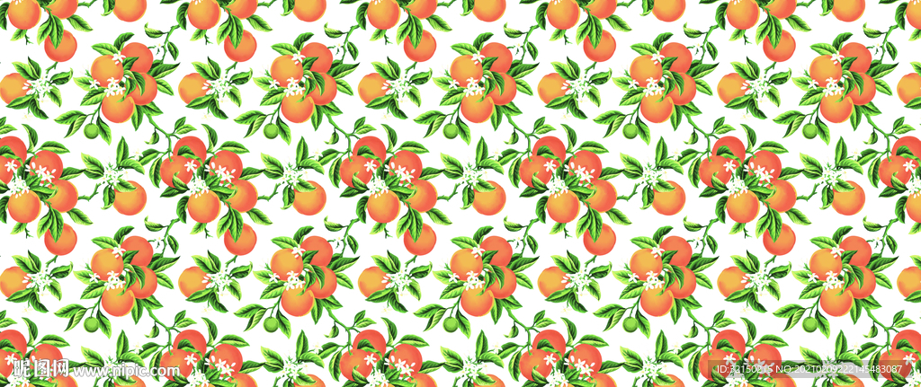 橘子叶子