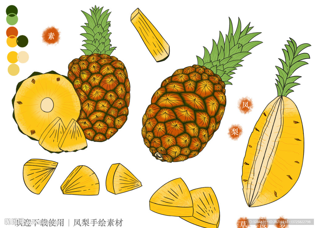 凤梨手绘素材
