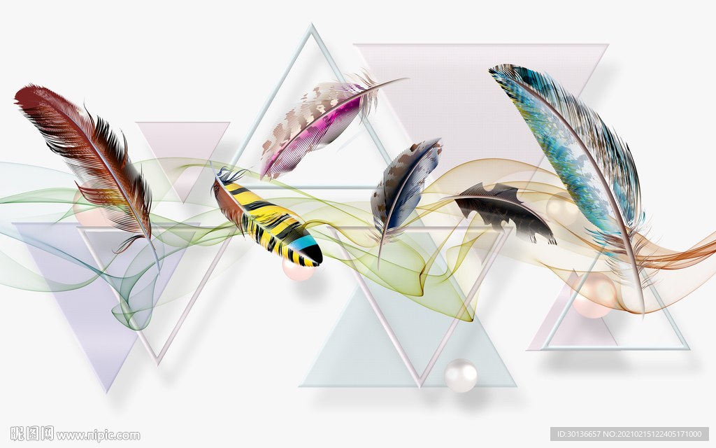 羽毛时尚新无框画 TIF分层