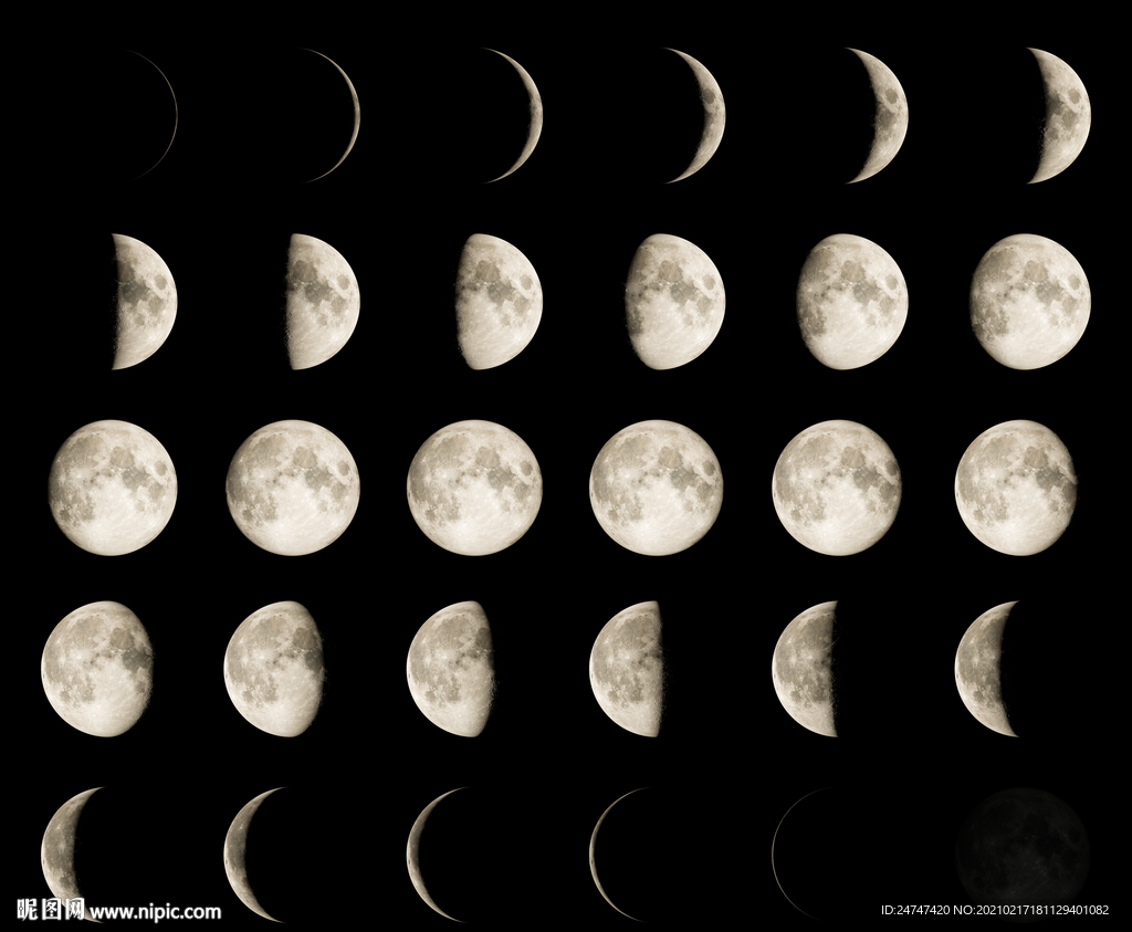 三种风格月相图矢量素材 Moon Phases – Free Vector Illustrations – 设计小咖