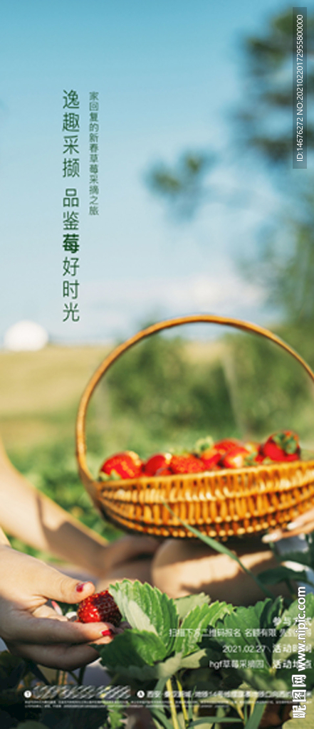 春暖花开草莓采摘活动海报