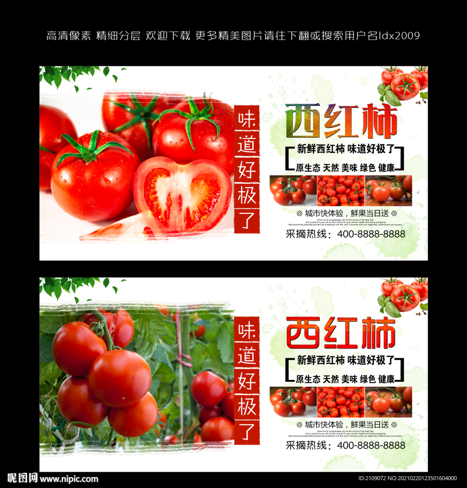 西红柿