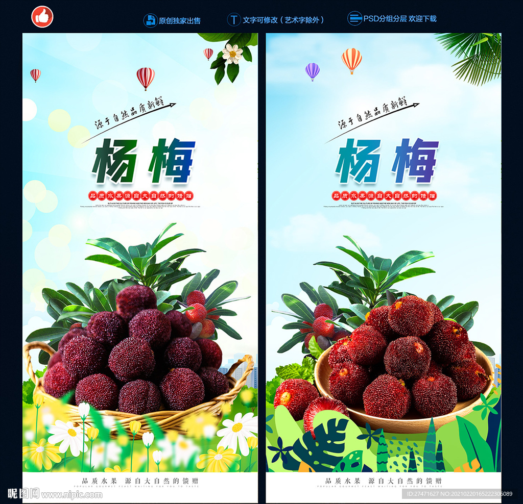 杨梅