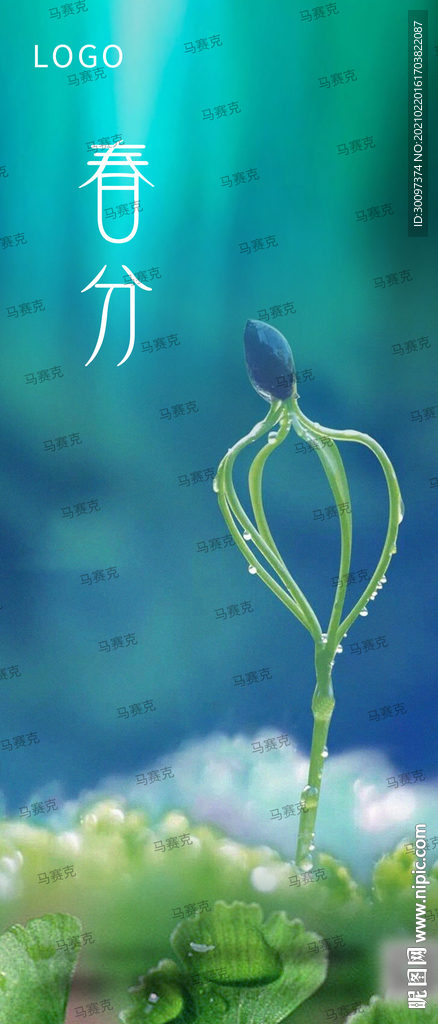 春分海报 节气海报
