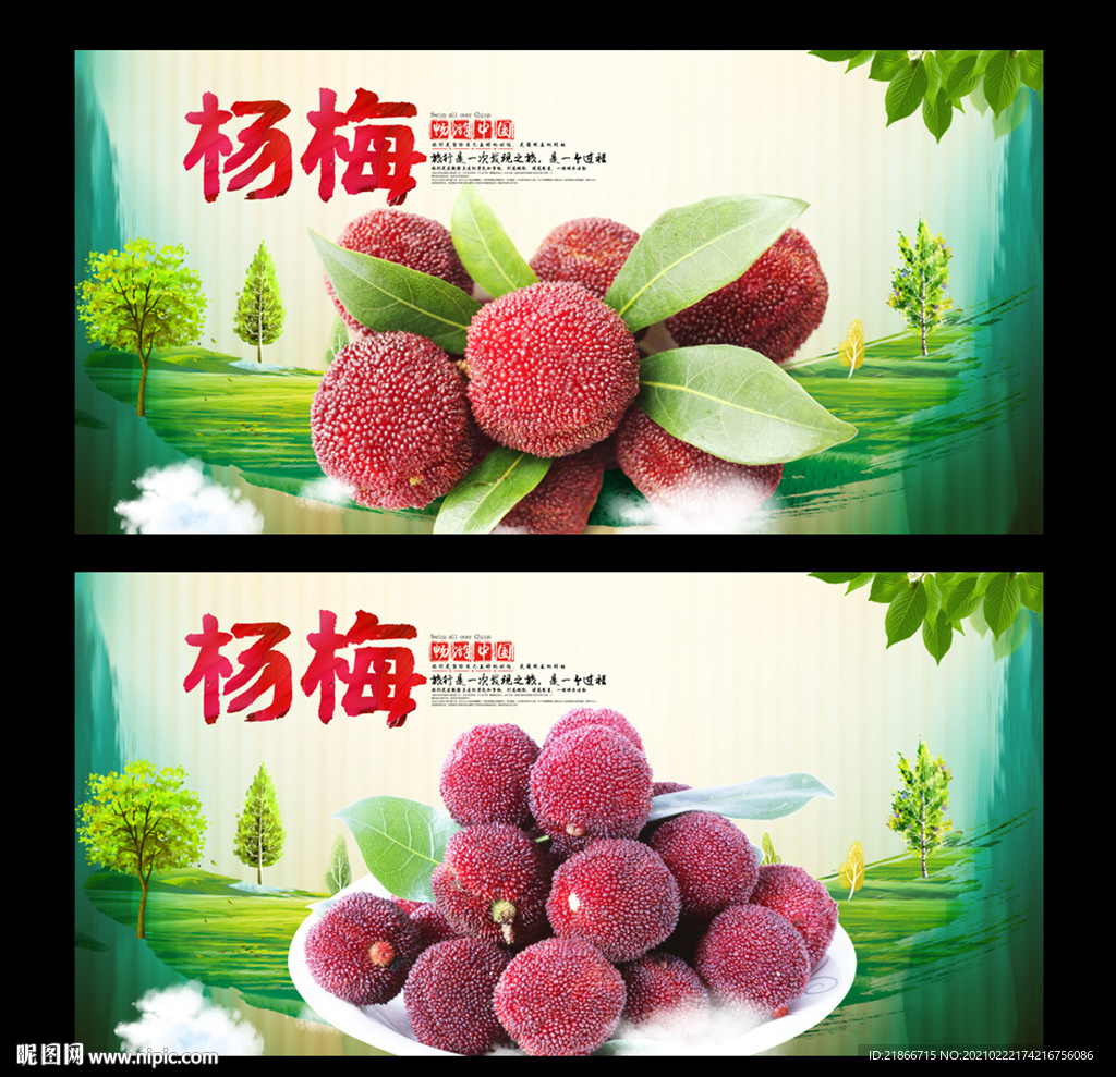 杨梅