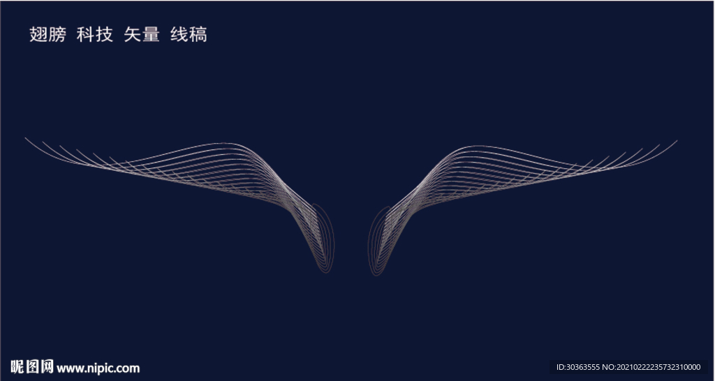 翅膀 矢量