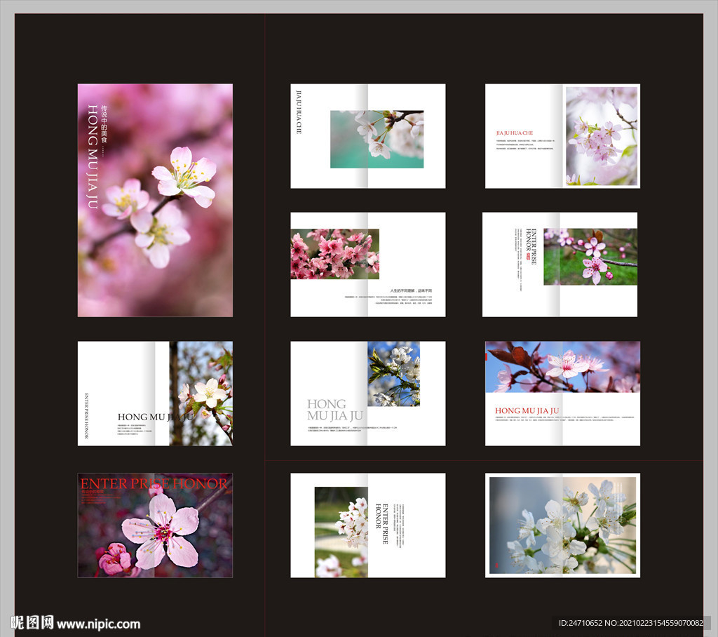樱花画册设计模版