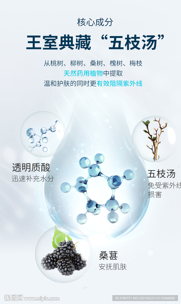 成分海报