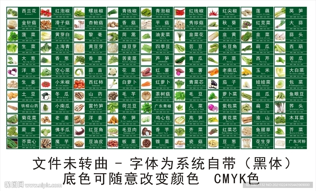 蔬菜名称