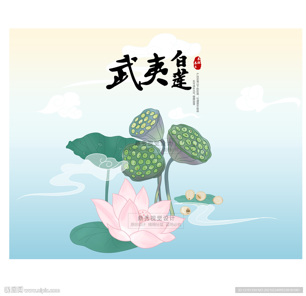 手绘荷花  莲子 祥云