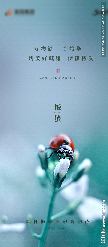 惊蛰