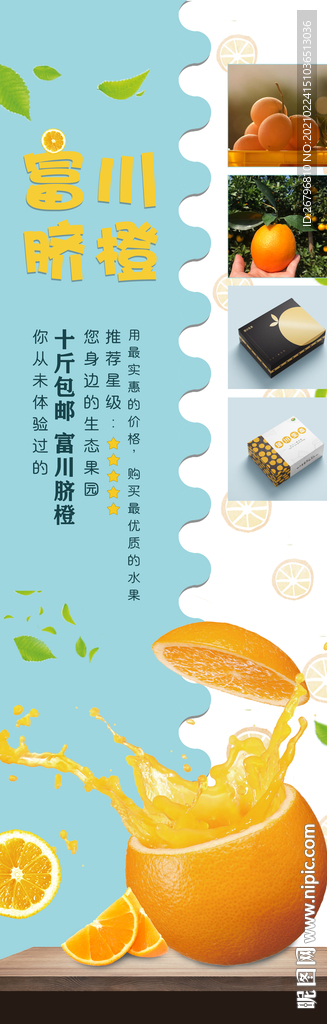 脐橙展架