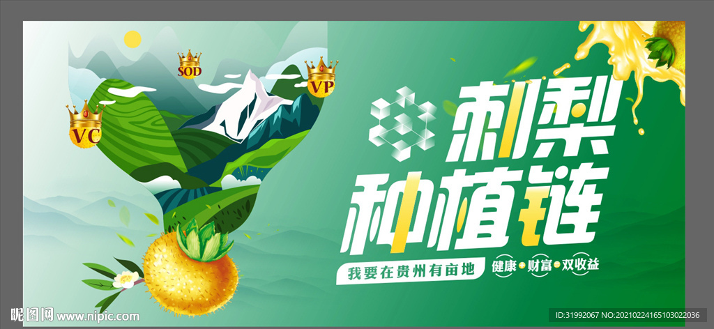 刺梨banner