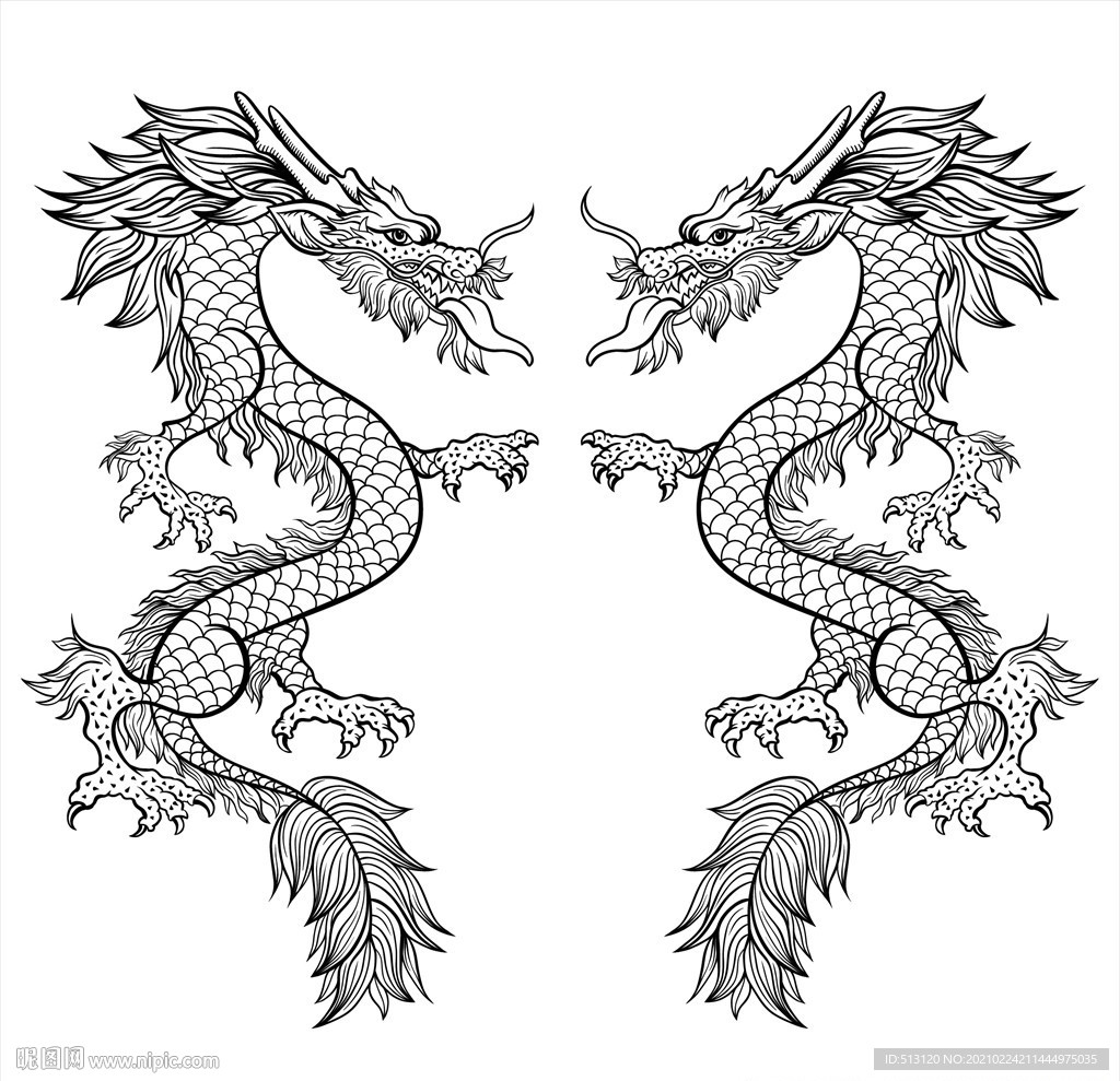 线稿龙