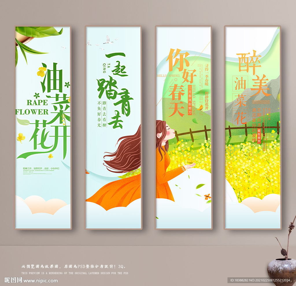 油菜花开