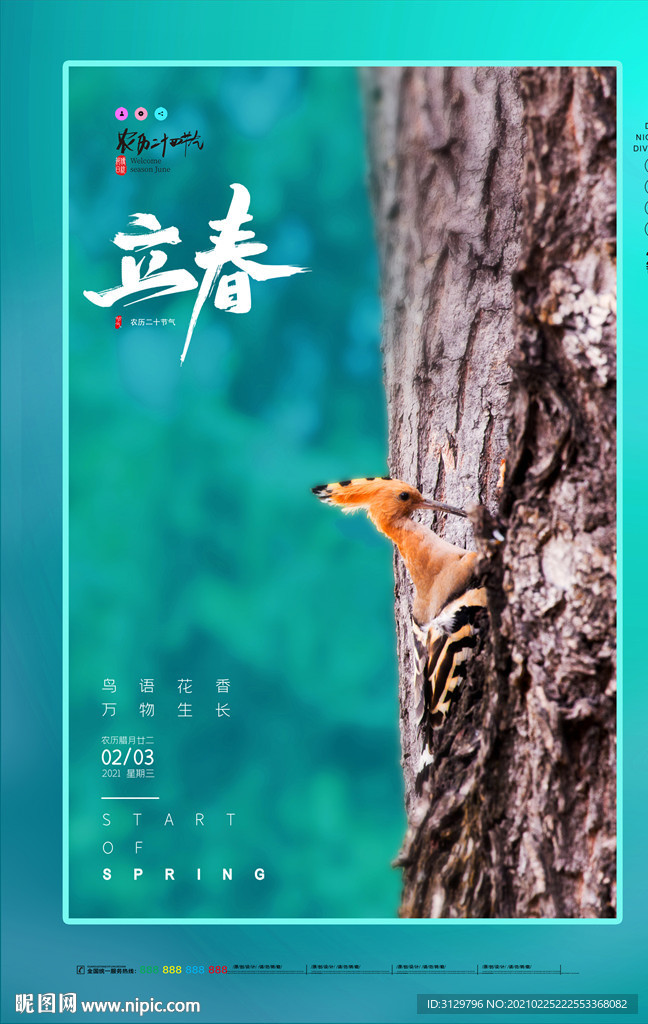 简约啄木鸟立春海报