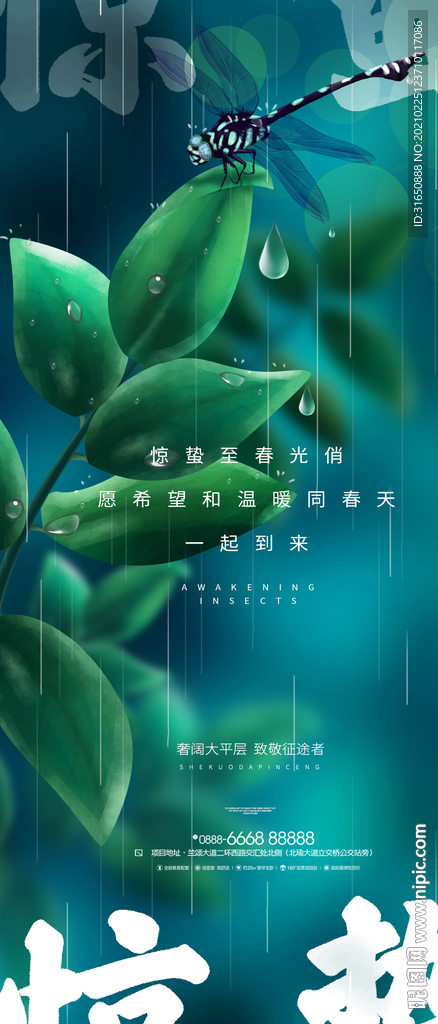 惊蛰